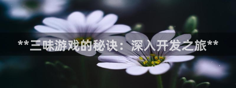 沐鸣2平台主管