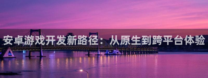 沐鸣娱乐2官方平台：安卓游戏开发新路径：从原生到跨平台体验