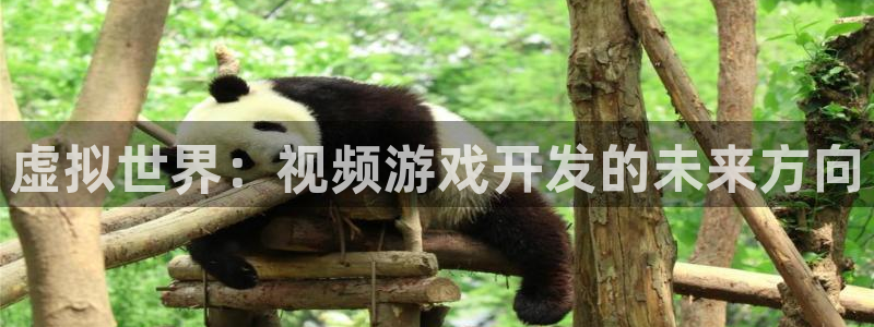 沐鸣2多少年：虚拟世界：视频游戏开发的未来方向