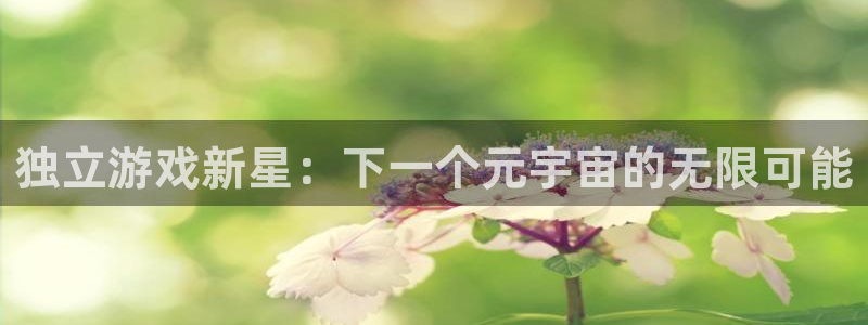 沐鸣2平台关7O777：独立游戏新星：下一个元宇宙的无限可能