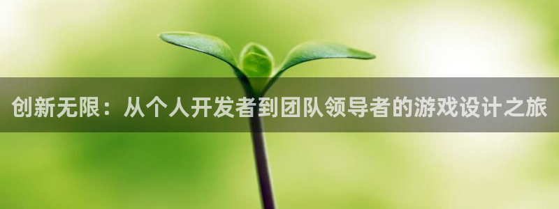 沐鸣娱乐2怎么登录账号：创新无限：从个人开发者到团队领导者的游戏设计之旅