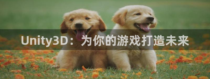 沐鸣娱乐2官网网址是多少