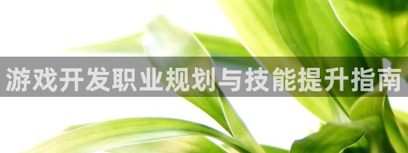 沐鸣2官网 5O6917：游戏开发职业规划与技能提升指南
