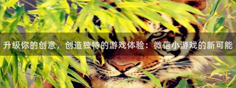 沐鸣2注册丘27337：升级你的创意，创造独特的游戏体验：微信小游戏的新可能
