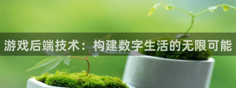 沐鸣娱乐2登录：游戏后端技术：构建数字生活的无限可能