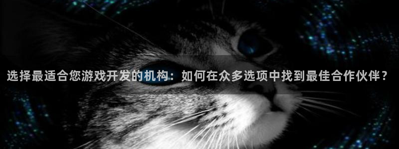 沐鸣2客服：选择最适合您游戏开发的机构：如何在众多选项中找到最佳合作伙伴？