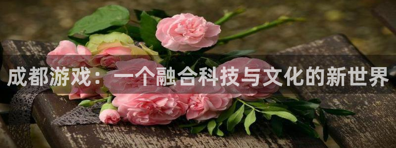 沐鸣娱乐2代理：成都游戏：一个融合科技与文化的新世界