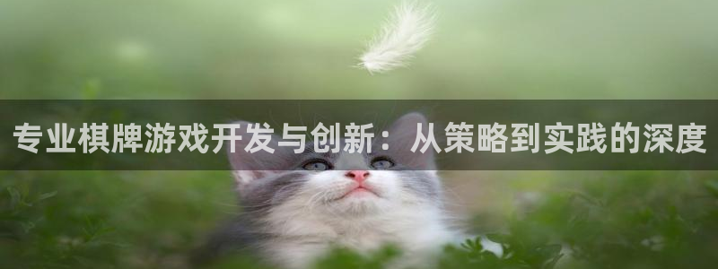 沐鸣2开户：专业棋牌游戏开发与创新：从策略到实践的深度