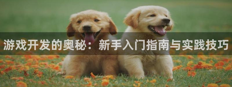 沐鸣2平台登录线路：游戏开发的奥秘：新手入门指南与实践技巧